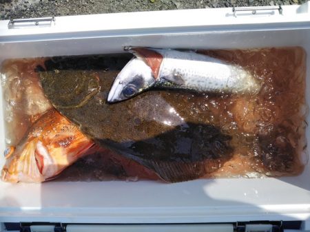 康仁丸・ジギング釣り果